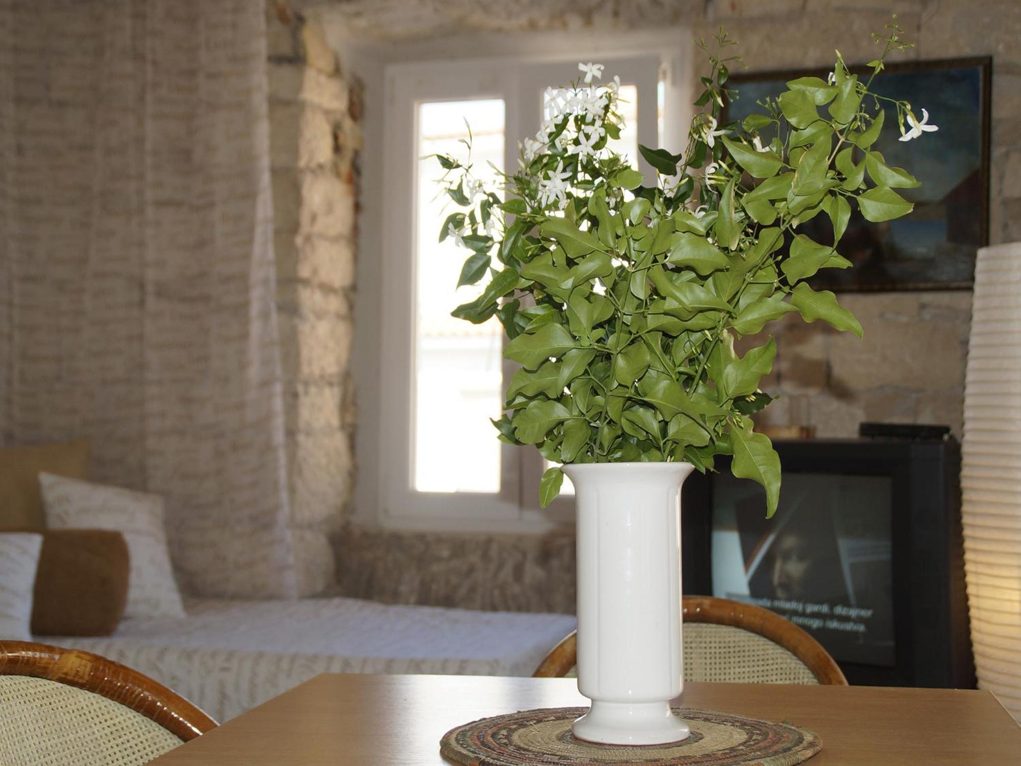 Apartment Stelina Korčula